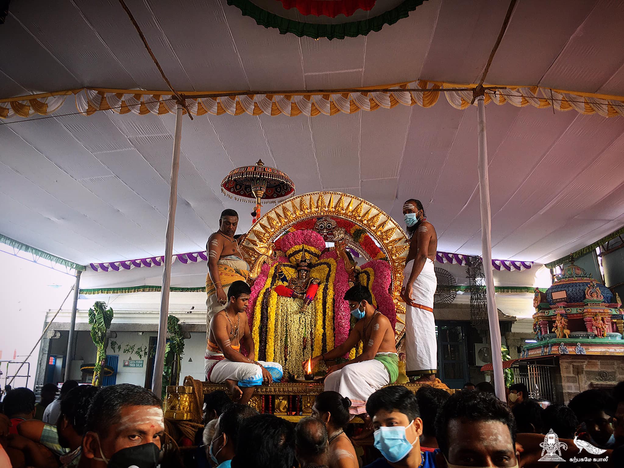 திருமயிலை அருள்மிகு கபாலீஸ்வரர்  பங்குனி   திருவிழா